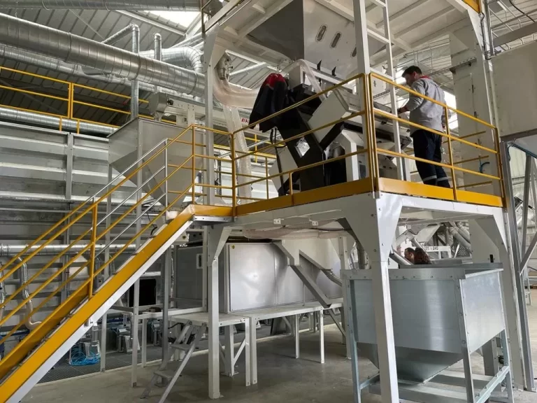 Kernel Seed Cleaning: Superior Sorting with Color Sorters Machine