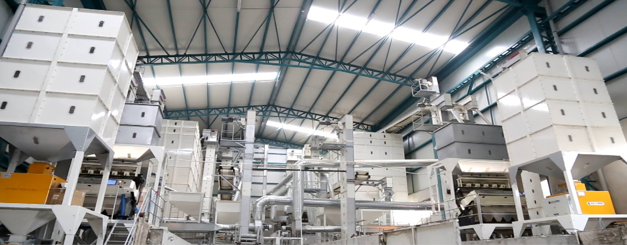 High-Performance Steel Hopper Bins for Seed and Grain Storage