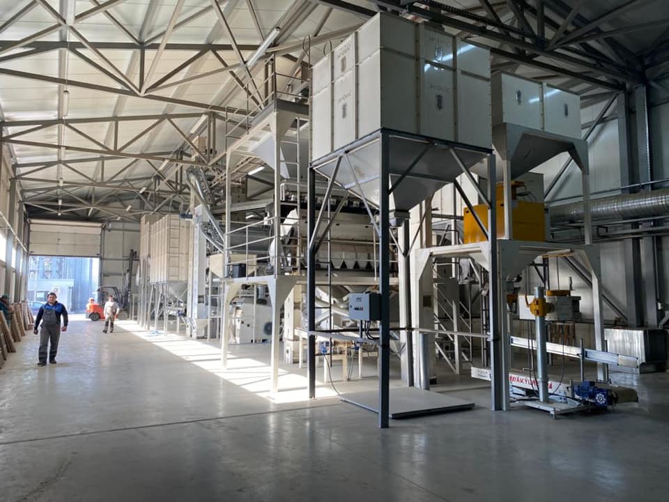 Peas Processing Plant - Image 4