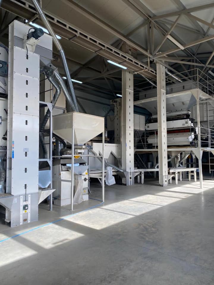 Peas Processing Plant - Image 2