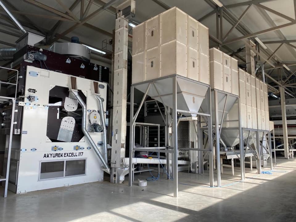 Peas Processing Plant - Image 5