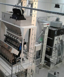 High-Performance Broad Bean Cleaning & Processing Plant for Maximum Efficiency