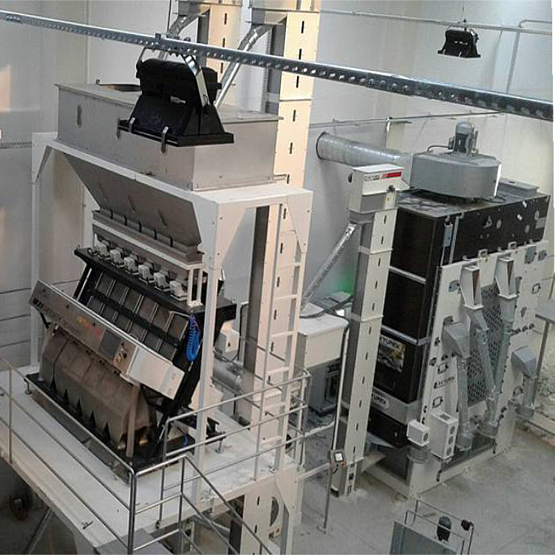High-Performance Broad Bean Cleaning & Processing Plant for Maximum Efficiency