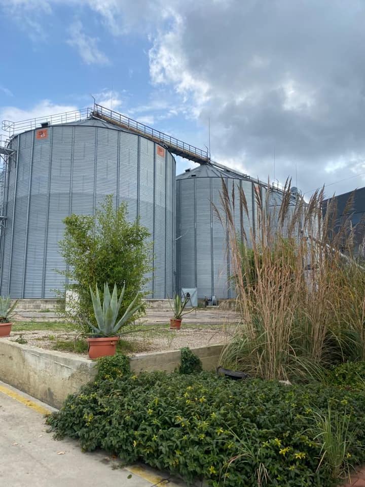 Chickpea Processing Plant – Advanced Pulses Cleaning & Sorting - Image 2