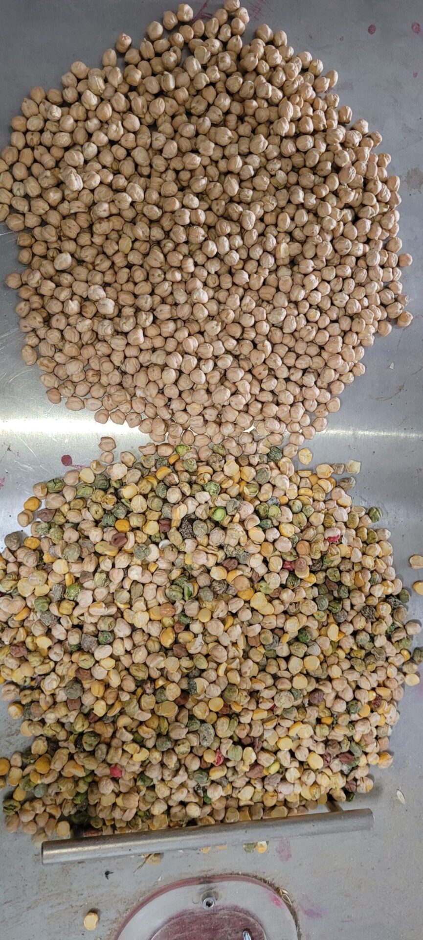 Color sorter machine for quality control in Pulses
