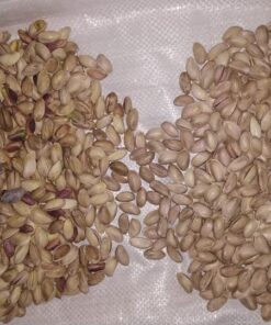 Research laboratory color sorter for grains and seeds