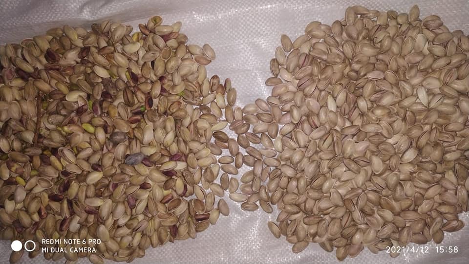 Research laboratory color sorter for grains and seeds