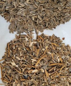 Efficient sorting of Sunflower seeds with lab type sorter