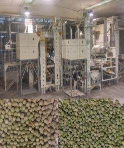 High-Efficiency Dry Peas Processing & Hulling Plant for Maximum Yield