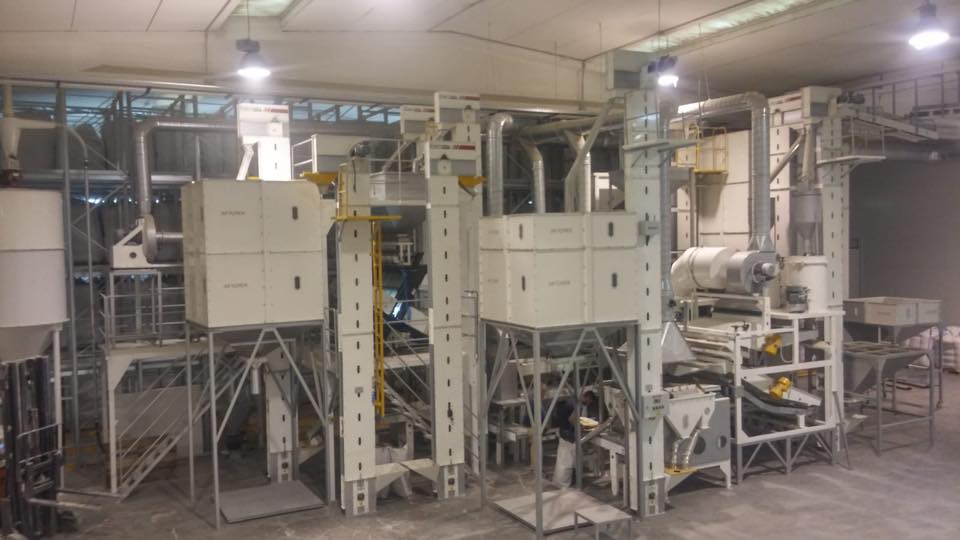 Dry Peas Processing Plant – Hulling and Splitting Solutions - Image 14