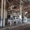 Advanced Groundnut Processing Plant with Fully Automated Cleaning & Sorting Equipment