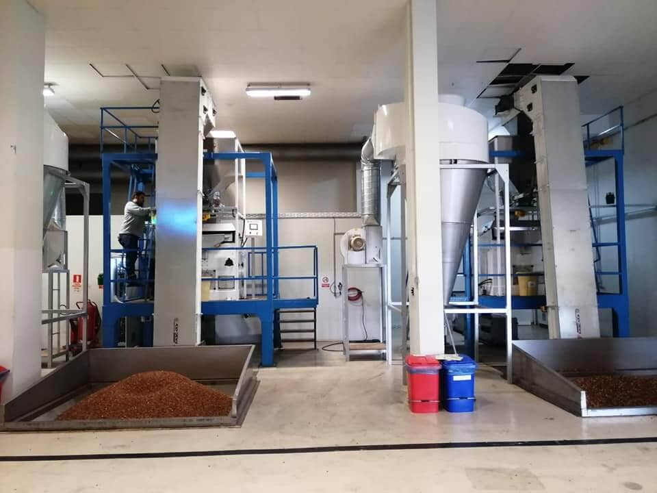 Hazelnut Processing Plant - Hazelnut Cleaning Equipments - Image 6