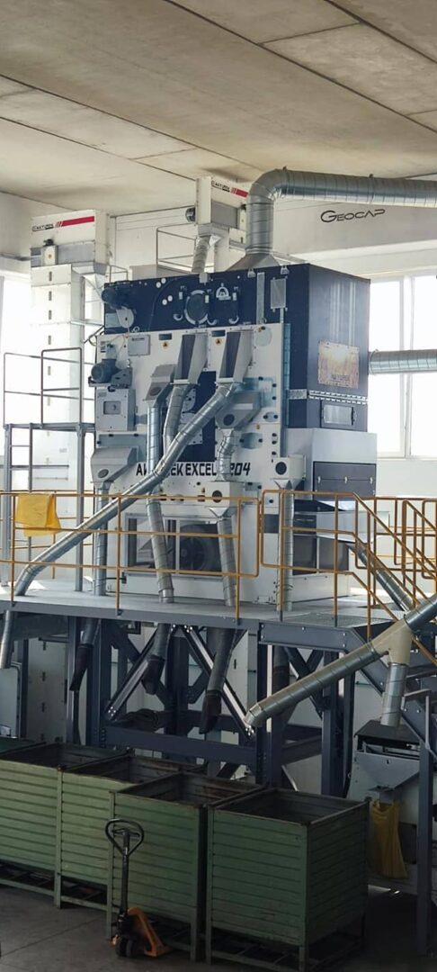 Pulses Processing Plant – Complate Pulses Processing Plant - Image 9