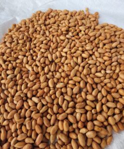 Efficient sorting of peanut with Mmctech color sorter machine