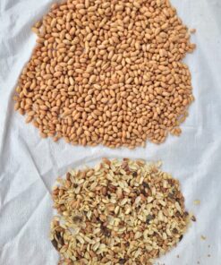 Small batch color sorting for seeds and grains