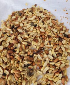 Research small scale Color Sorter Single Channel for grains and seeds