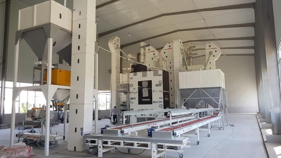 Peanut Groundnut Processing Plant - Advanced Seed Processing Plant - Image 3