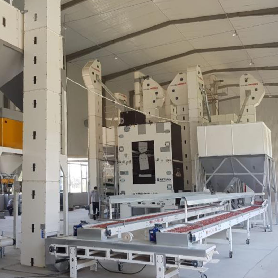 Peanut Groundnut Processing Plant - Advanced Seed Processing Plant - Image 2