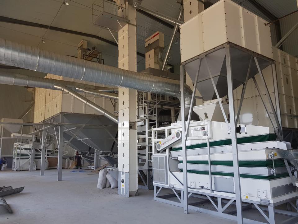 Peanut Processing Plants – Peanut & Groundnut Processing Equipment - Image 4