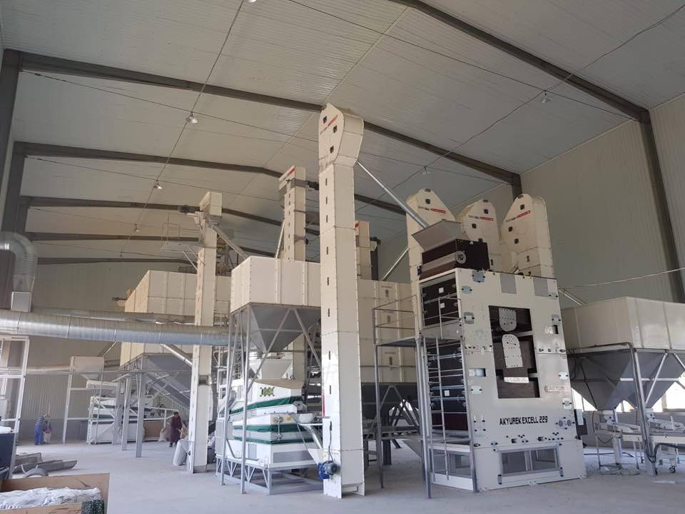 Peanut Groundnut Processing Plant - Advanced Seed Processing Plant - Image 6