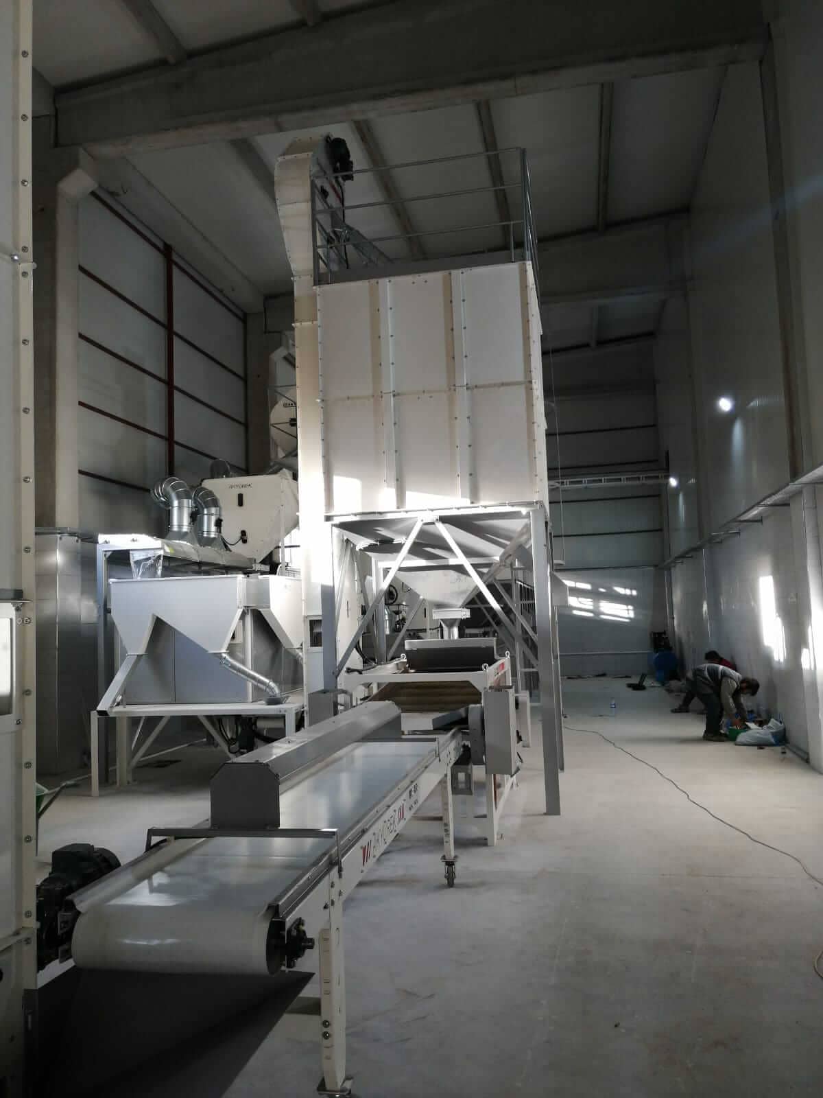 Peanut Groundnut Processing Plant - Advanced Seed Processing Plant - Image 11