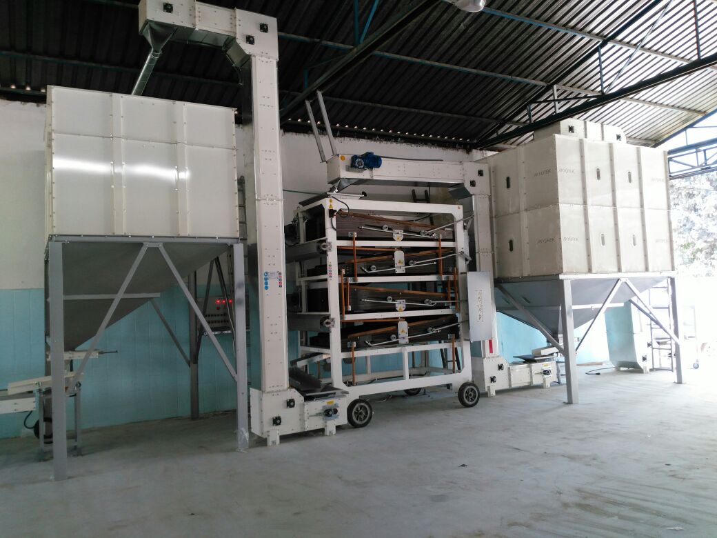 Peanut Groundnut Processing Plant - Advanced Seed Processing Plant - Image 9