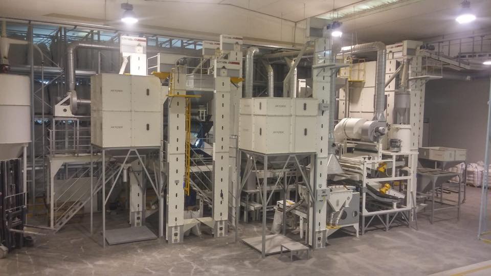 Dry Peas Processing Plant – Hulling and Splitting Solutions - Image 3