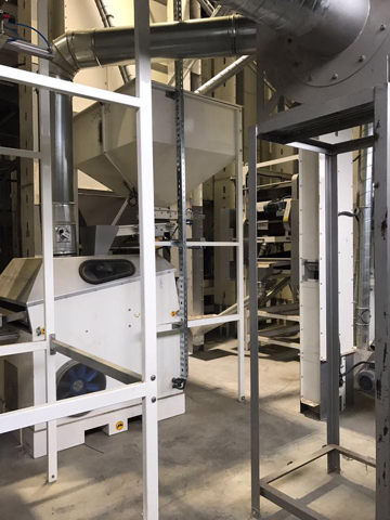 Dry Peas Processing Plant – Hulling and Splitting Solutions - Image 11