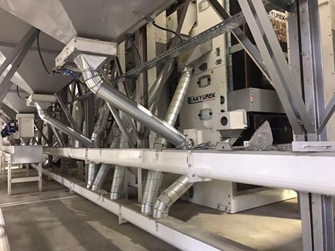 Dry Peas Processing Plant – Hulling and Splitting Solutions - Image 4