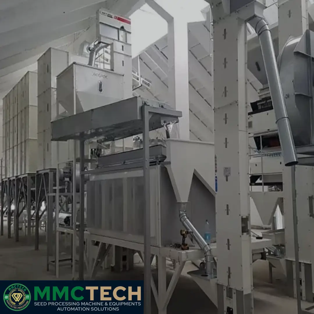 White Beans Cleaning and Pulses Processing Plant with Advanced Automation