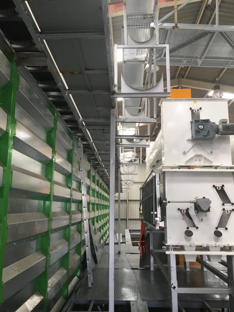 Pulses Processing Plant – Complete Seed Cleaning Facilities - Image 5