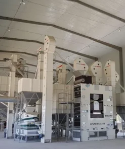 High-Performance Pumpkin Seed Processing Plant for Maximum Yield & Purity