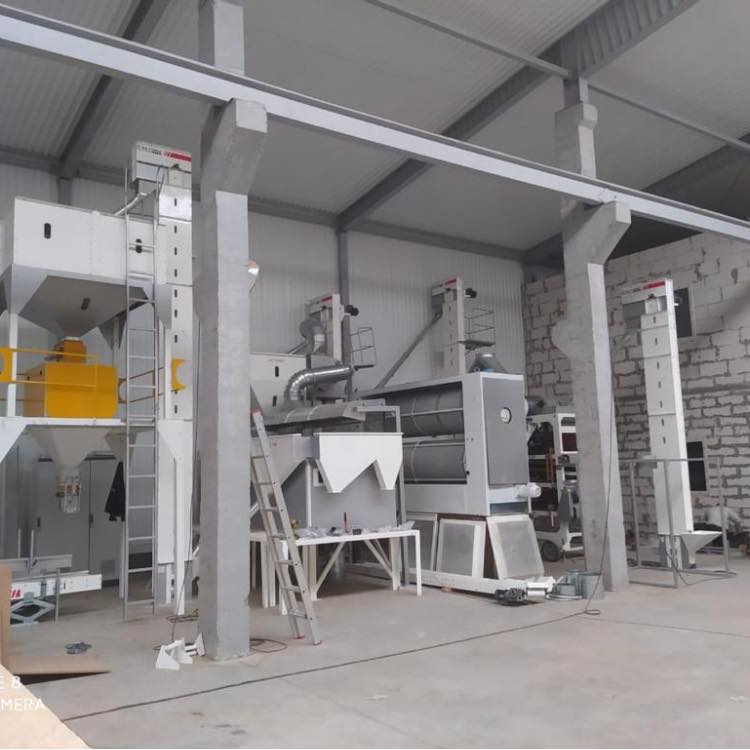 Pumpkin Seed Processing Plant - Advanced Seed Cleaning Plant - Image 5