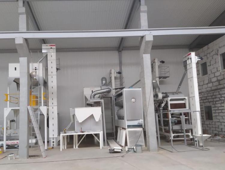 Pumpkin Seed Processing Plant - Advanced Seed Cleaning Plant - Image 3