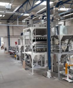 Sesame Seed Processing Plant with Color Sorter and Single Scale Bagging Machine by MMCTECH