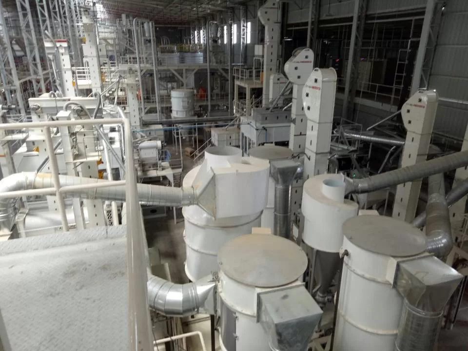 Spice and Coriander Seed Screening Plant - Image 8