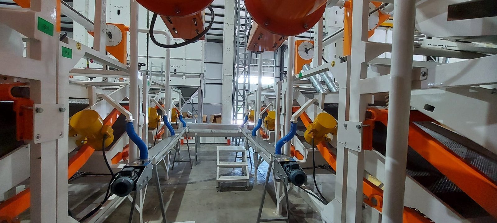Sunflower Processing Plant - Image 6
