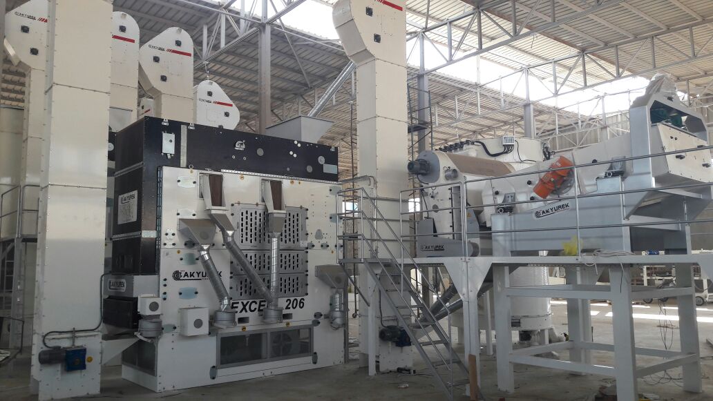 White Beans Cleaning and Pulses Cleaning Solutions - Image 2