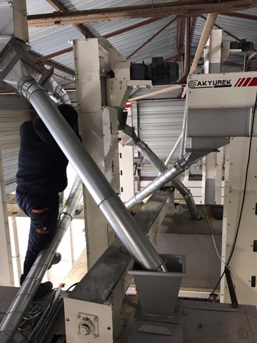 Yellow Pea Processing Plant - Pulses Cleaning Unit - Image 9
