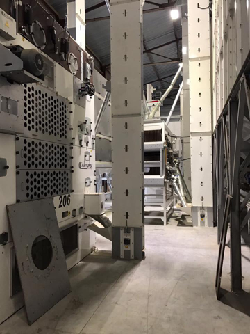 Yellow Pea Processing Plant - Pulses Cleaning Unit - Image 7