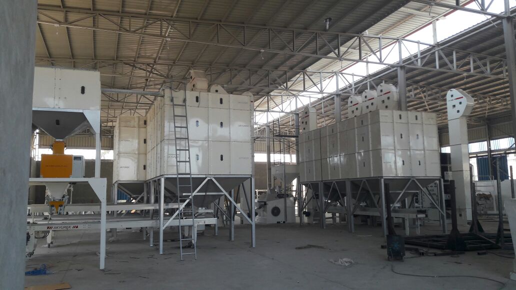 White Beans Cleaning and Pulses Cleaning Solutions - Image 10