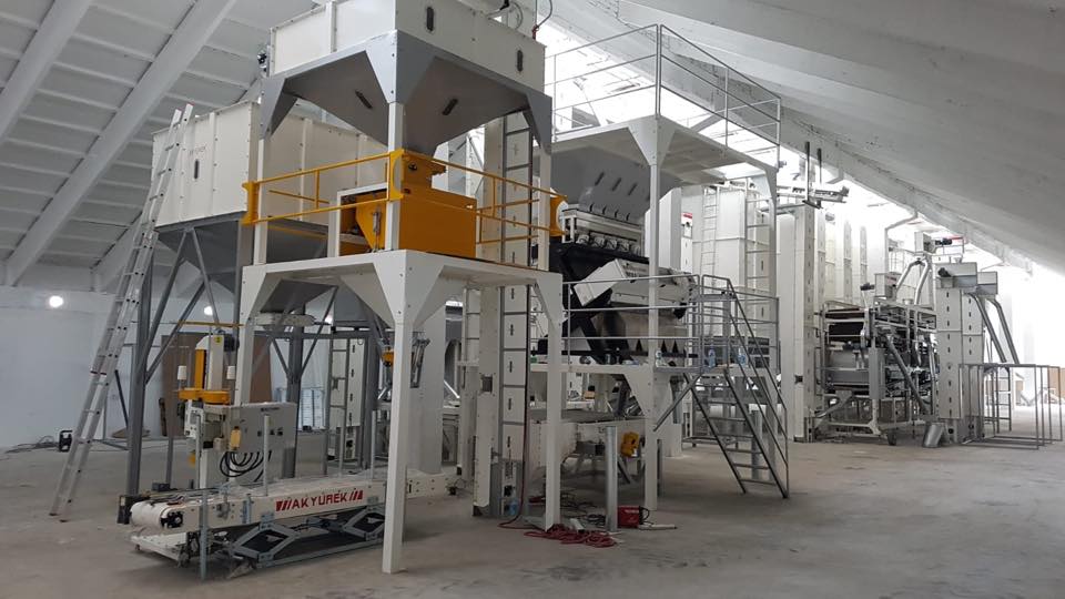 Chickpea Processing Plant with Advanced Color Sorter and Bagging Machine