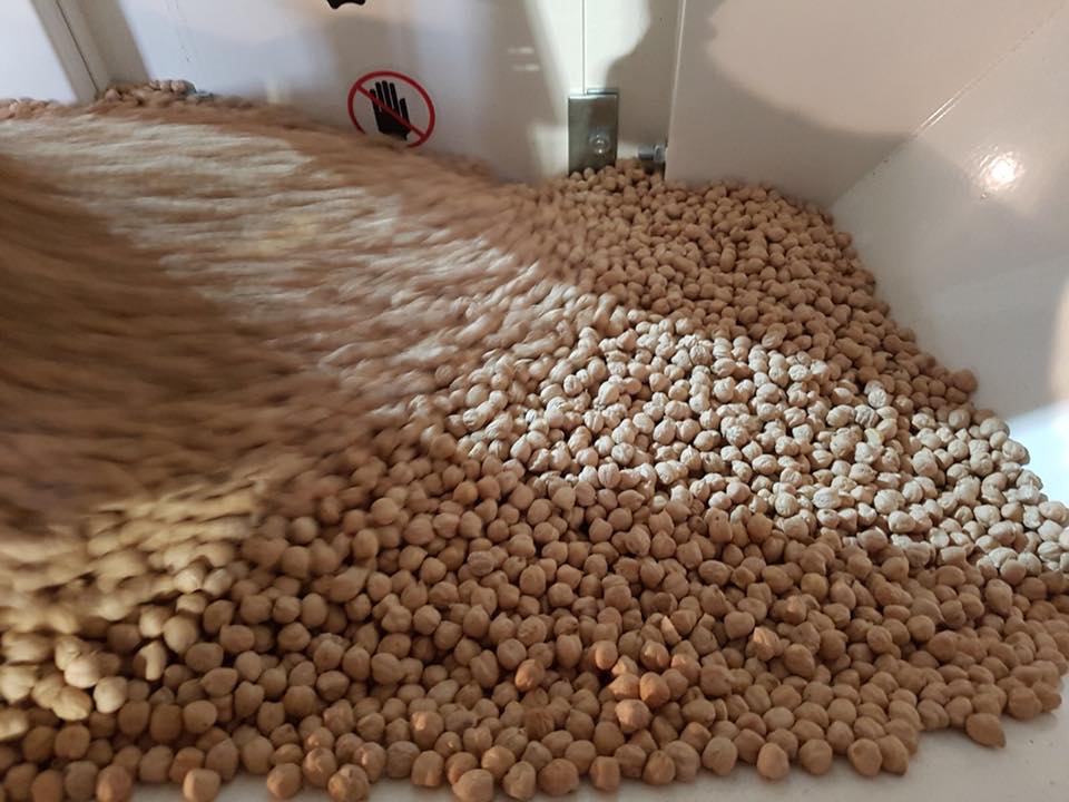 Chickpea Processing Plant – Advanced Pulses Cleaning & Sorting - Image 10