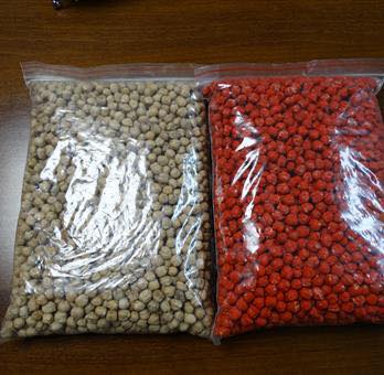 Chickpea Processing Plant – Advanced Pulses Cleaning & Sorting - Image 11