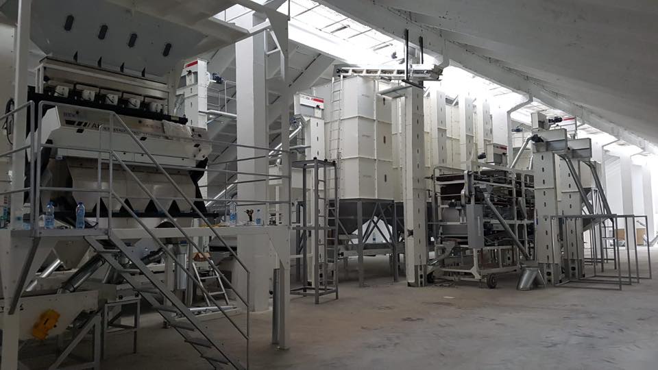 Chickpea Processing Plant – Advanced Pulses Cleaning & Sorting - Image 6