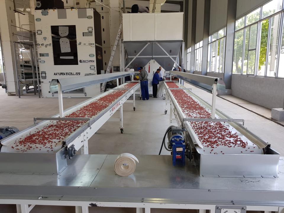 Peanut Processing Plants – Peanut & Groundnut Processing Equipment - Image 2