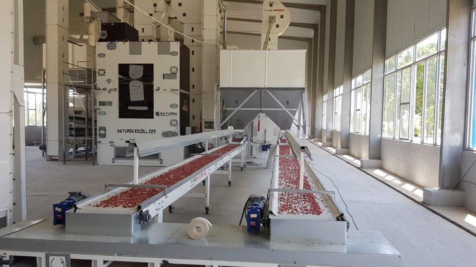Peanut Processing Plants – Peanut & Groundnut Processing Equipment - Image 11