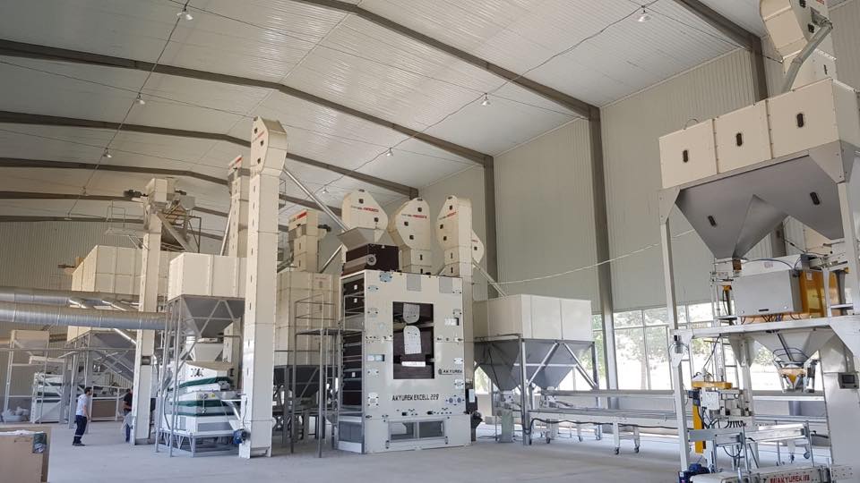 Peanut Processing Plants – Peanut & Groundnut Processing Equipment - Image 5
