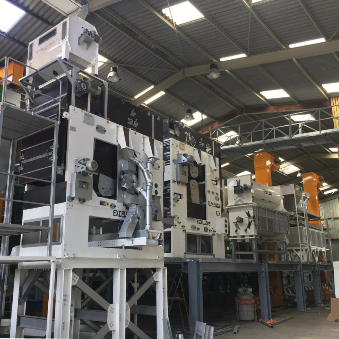 Advanced Pulses Processing Plant with Automated Cleaning, Sorting & Packaging