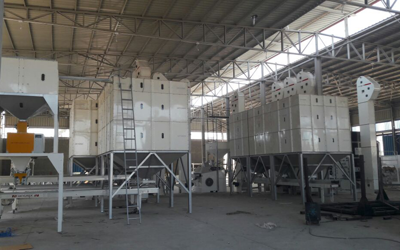 White Beans Cleaning and Pulses Cleaning Solutions - Image 11